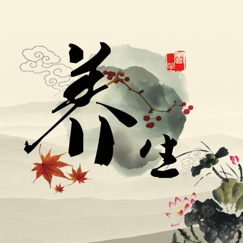 健康养生 益生元 食物