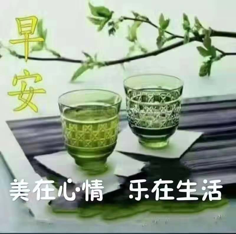 促进健康的方法 行为 益生源