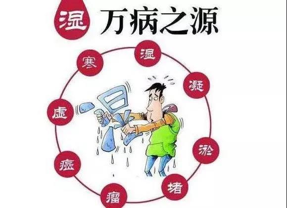 湿气是万病之源  “大暑”这样吃，赶走积攒了一年的湿气！