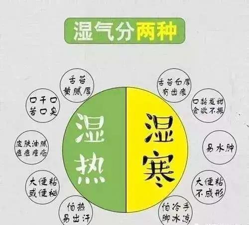湿气是万病之源  “大暑”这样吃，赶走积攒了一年的湿气！