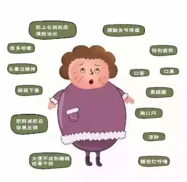 湿气是万病之源 “大暑”这样吃,赶走积攒了一年的湿气!
