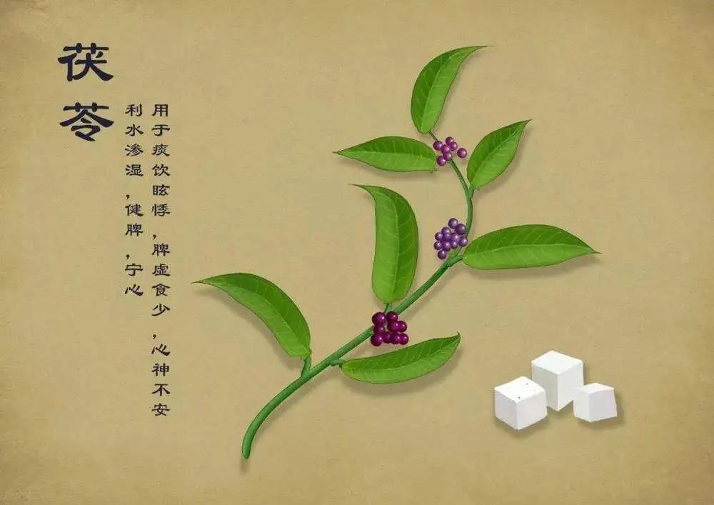 湿气是万病之源  “大暑”这样吃，赶走积攒了一年的湿气！