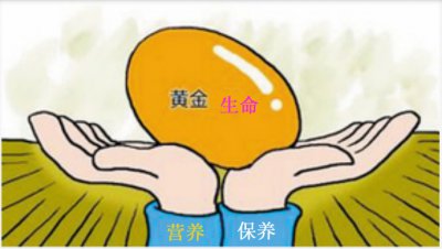 <<营养和保养决定健康程度>>