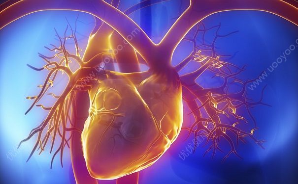 养护血管远离疾病